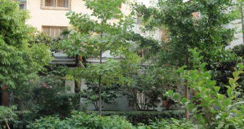 郑州农业路六号院|河南楼市网